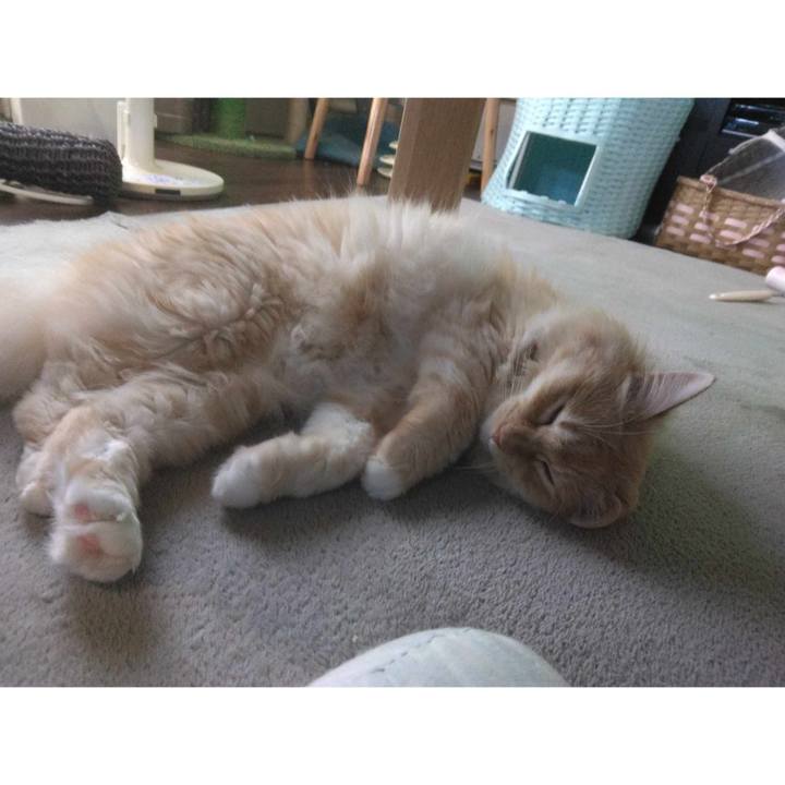 C3acf7f0 23d2 4f58 a99a f06940ef1dd5 1690705338258