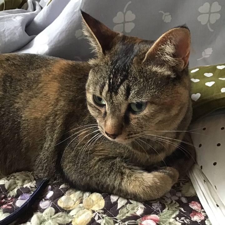 C3ad0b2d 0cf0 421a 82ba d0ac078de972 1649904838421