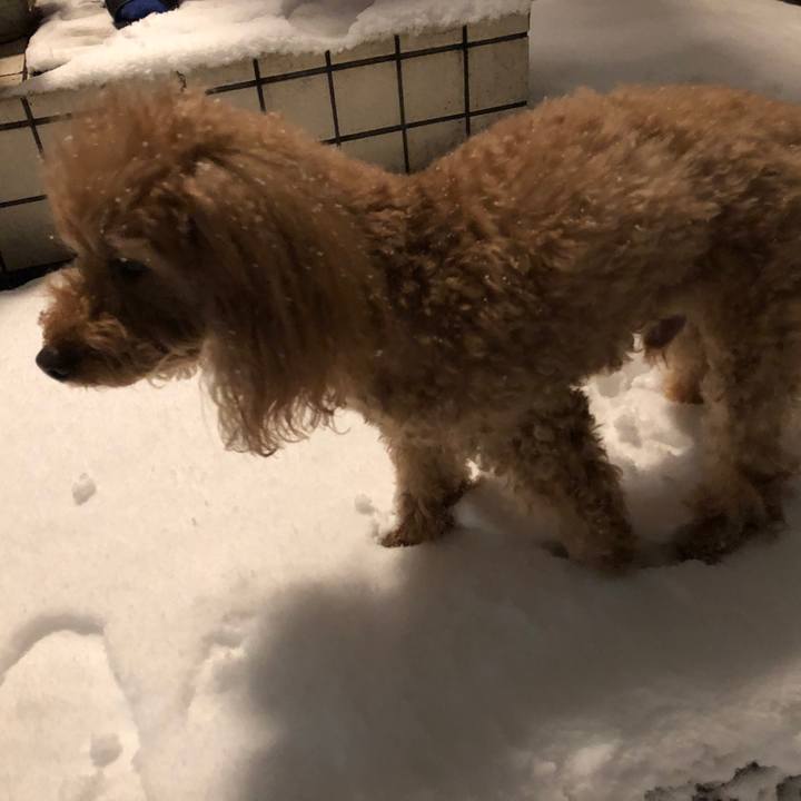 C3ad2198 3a6f 4571 a78c 91fb956a46c3 1516629411754