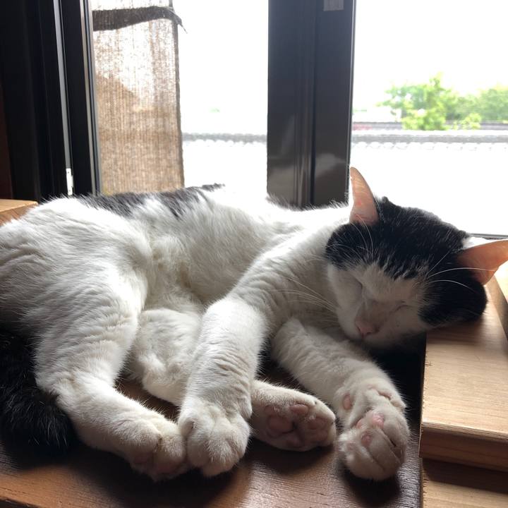 C3ad2d73 815f 458e 9e1f deb2e45d9d60 1621380913354