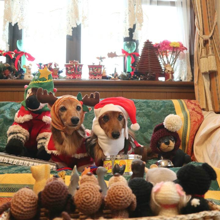 C3ad30d7 d507 4163 a6a1 e389d22eec7f 1766574110111