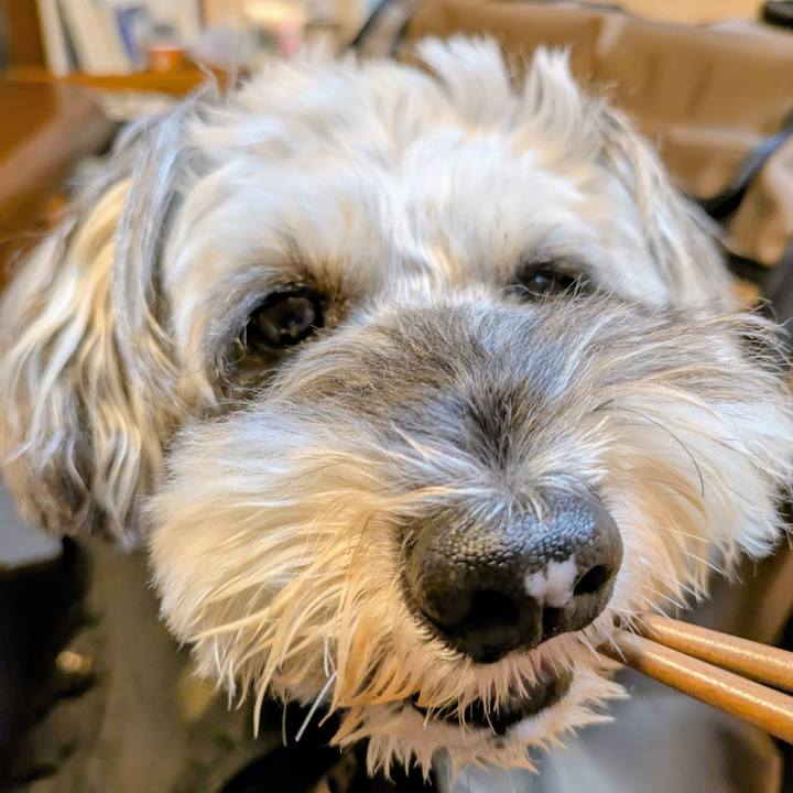 C3ad8f86 f3af 42b9 8620 f71f2a55d631 1760358730779