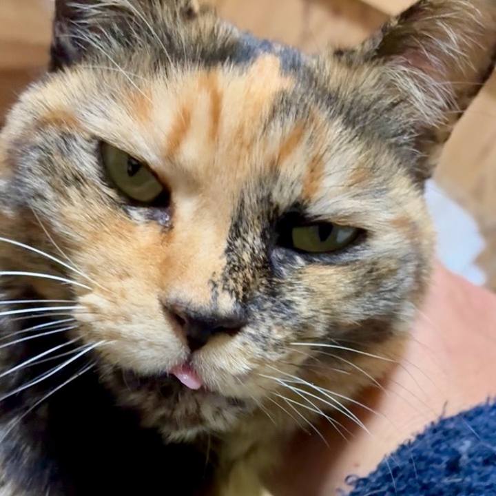 C3ada076 adf6 4e91 8a8b b47ac4f174e0 1769685985098