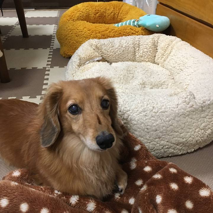 C3adccd6 e904 4db4 9c2d 3c358d5e2200 1610630261034