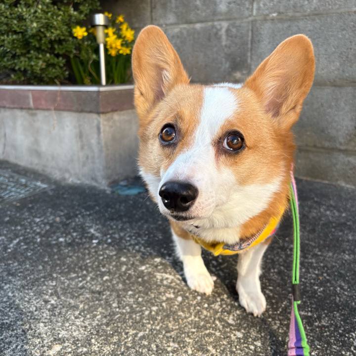 C3ae06e7 5e4f 4fad bce4 77f2f016909a 1773125575031