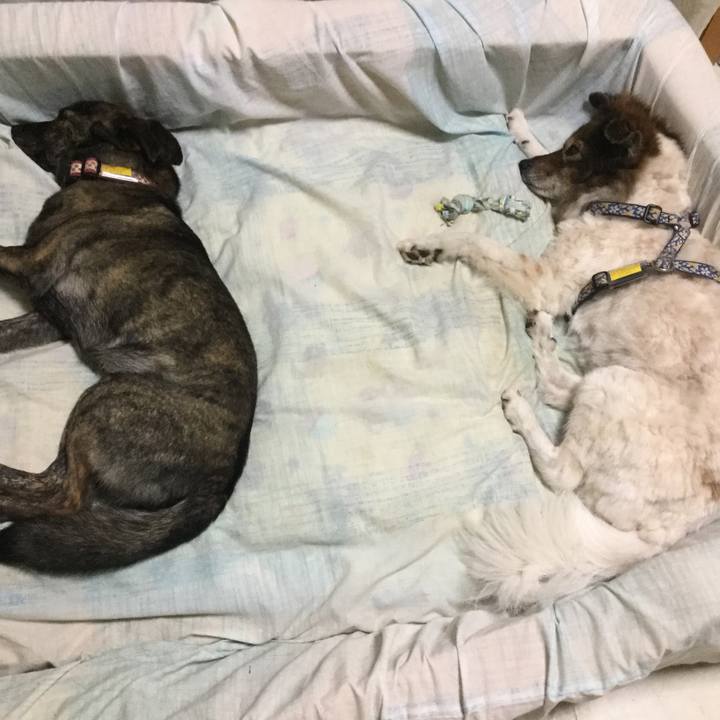 C3ae71c0 81cb 4a18 8eb6 293b8d771908 1587473943698