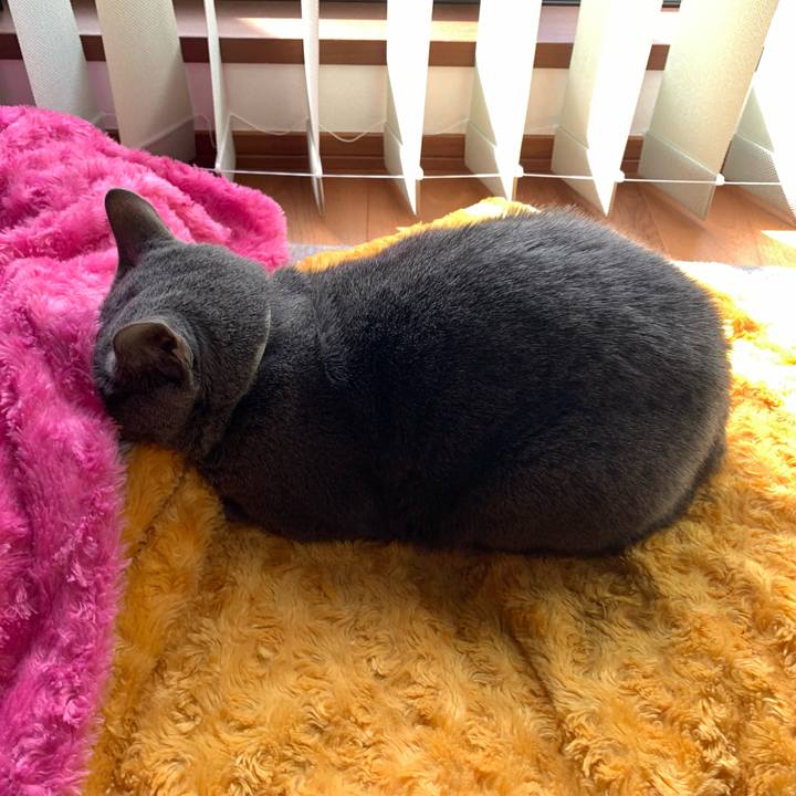 C3ae956a 0b50 43b1 83a0 e45d8a750bfa 1647996326926