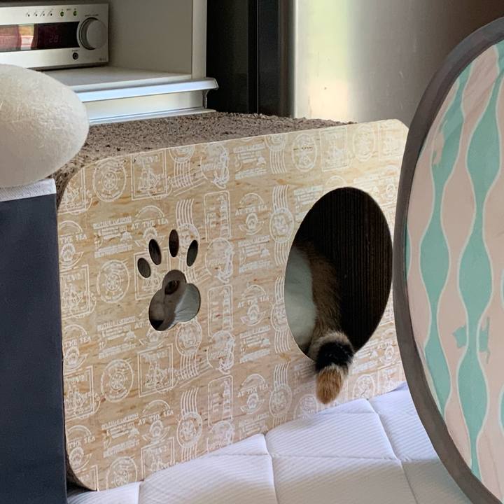 C3ae969f a921 4365 8322 1cd623508e33 1748393342355