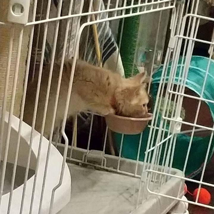 C3ae978e 818a 41cf 9aa5 c3f75d251887 1603977511578