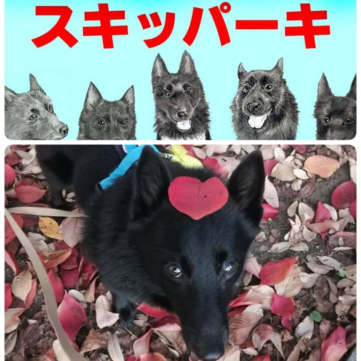 C3aed5ef 44f0 436f ae25 e9291b378c3c 1637916447308