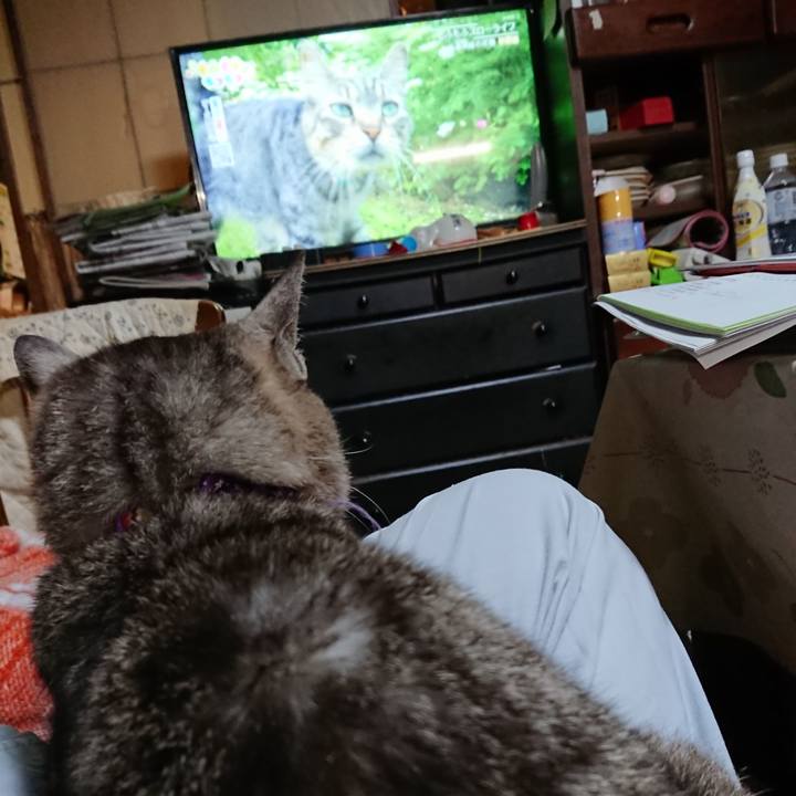 C3aeec8d d990 472f bdaf be20e7f24499 1592995374676