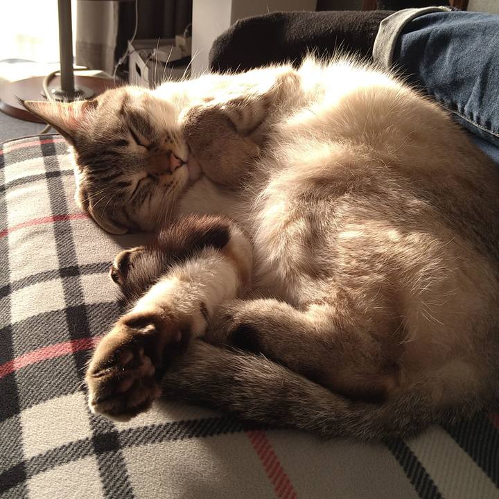 C3aefa75 285e 46b4 b083 a788b84e470d 1613200442843