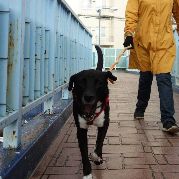 C3aefcfe 271a 468b 921e 58f16c7c8be6 1583371546036