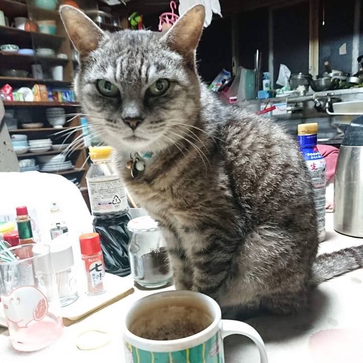 C3af0d1a dbc7 4eab a038 21fa2d29f72e 1601669806148