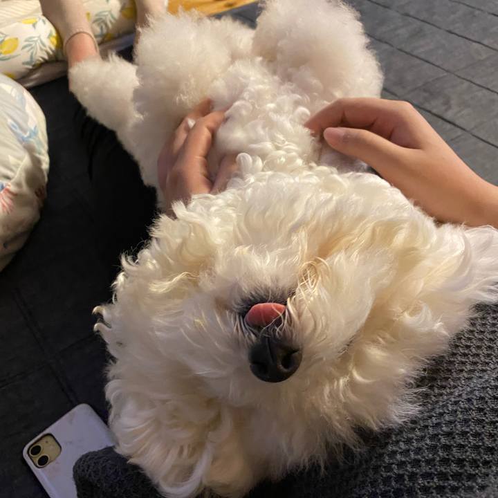 C3af2349 8258 4500 beb5 85ba069568b0 1629359375727