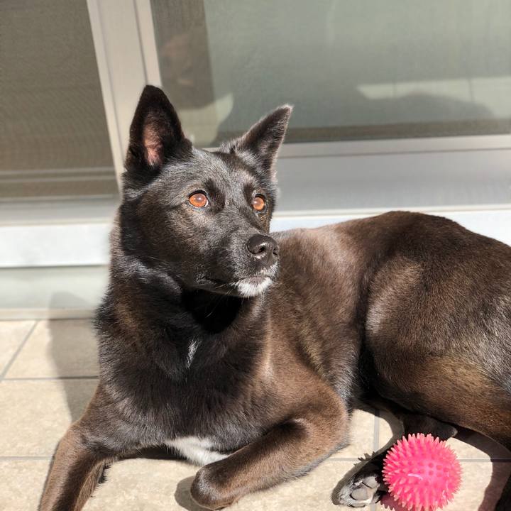 C3af47c4 5409 49ba b4cd 82ec9e9436f6 1557534256918