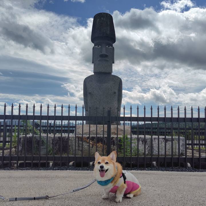 C3af5ef1 8ba1 48b1 9da0 89ab63cfbd9b 1757857317095