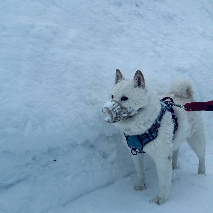 C3af6092 54c6 45e3 9f9c 62fea1a61e42 1738733198995