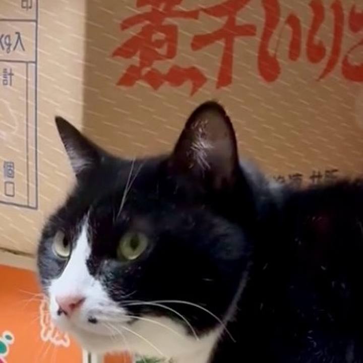 C3af9af6 699d 4bb9 9a5a 5e7036732624 1772805017132