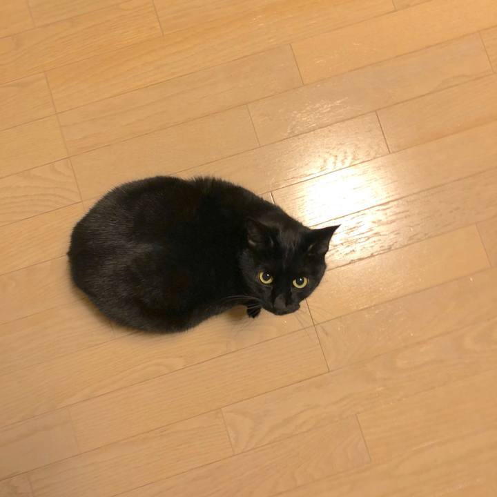 C3afc60b 658b 4057 b7c9 b24ef588deb2 1514454158744