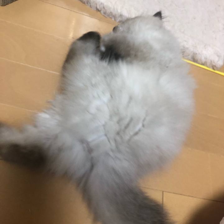 C3affd83 2f0d 4454 a80c 6fb1af272dd0 1630413015507