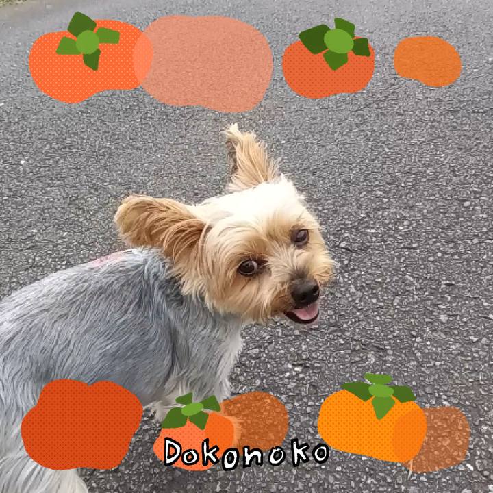 C3b00446 4e6f 48b1 8181 08ac6fc6a3a2 1761380899275