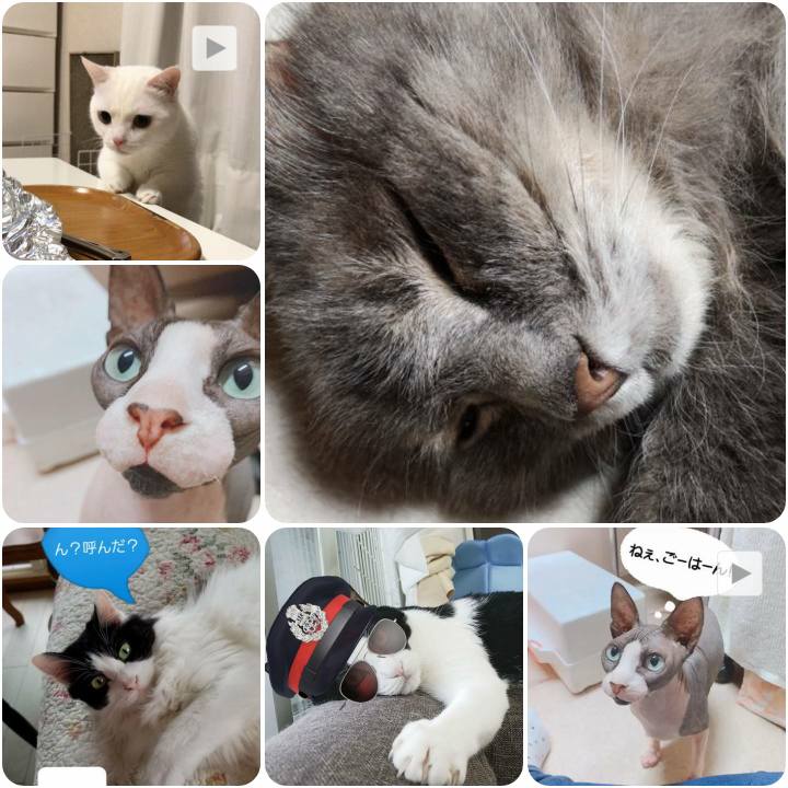 C3b00909 806d 45f6 9a56 a86d97a899fe 1562918141736