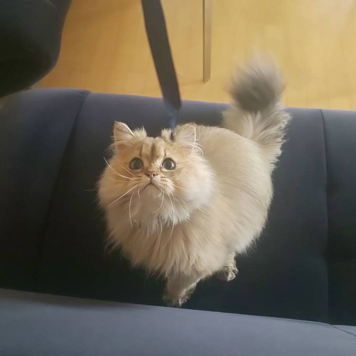 C3b017f0 73bb 4703 9499 6a994b35acd6 1588551484150