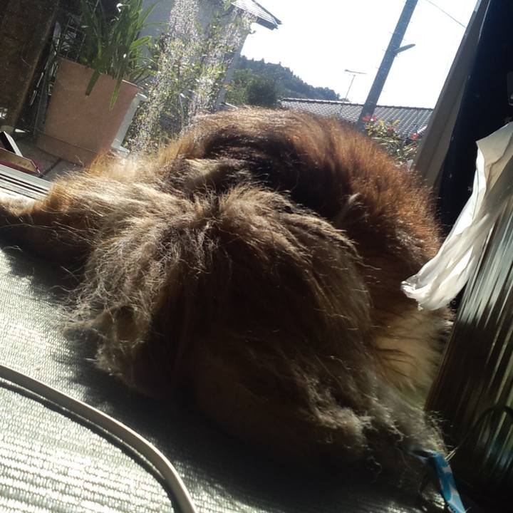 C3b04243 18df 4537 932a 7a53b62580e3 1563322638049