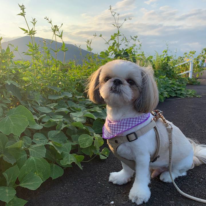 C3b06165 e7ea 4476 b60f 80a797219d77 1632571157513