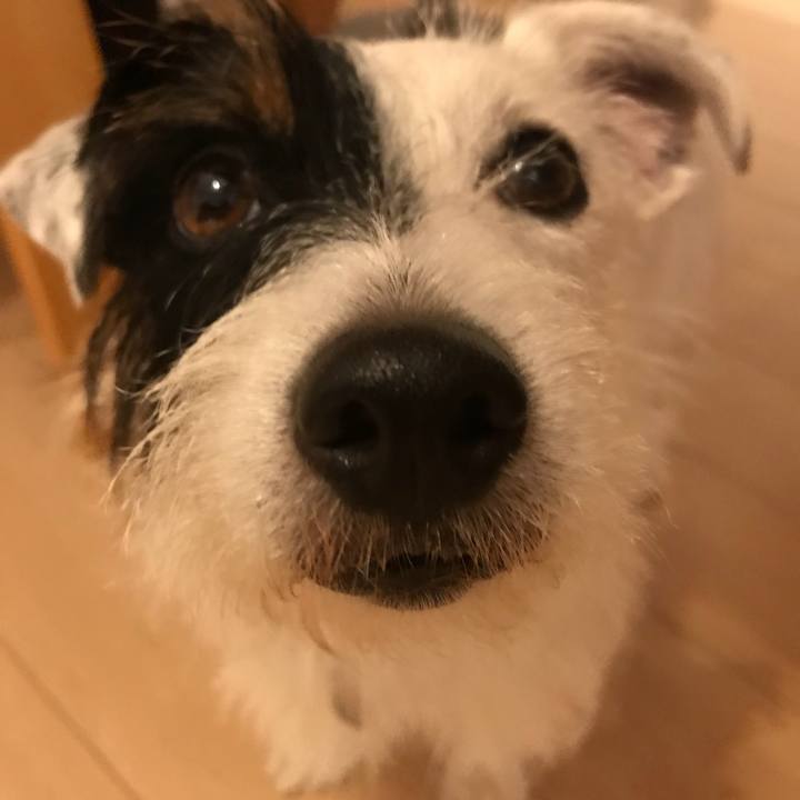 C3b0a052 d131 486b 9343 b245361f4274 1534685350400