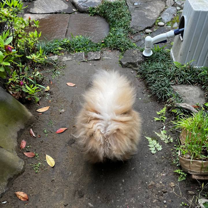 C3b0ac4c 35de 420c 80fa 6387f62661cf 1650857378904