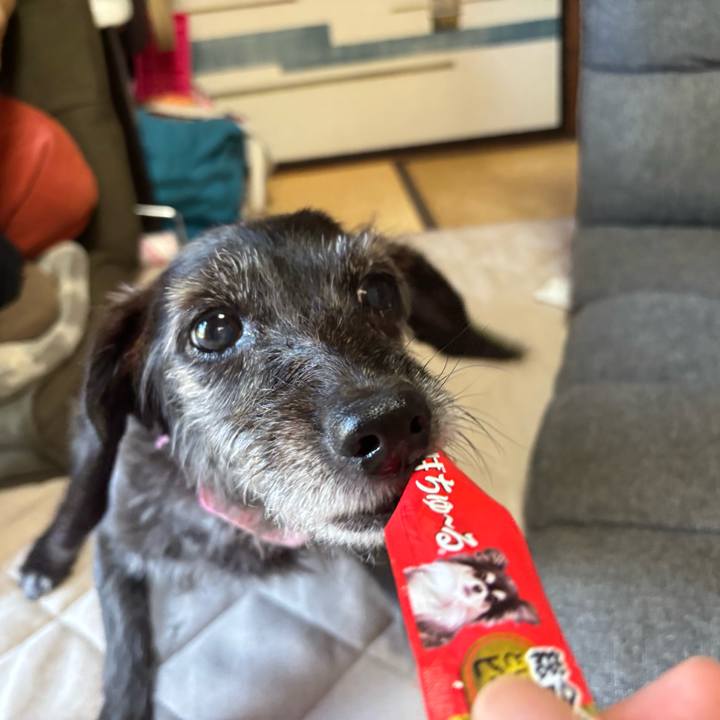 C3b0bb7b 7374 4368 ac46 b083a5276926 1756598240411