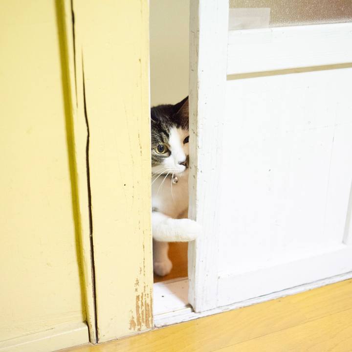 C3b1004d b14d 4c3e 9ee4 d817f5c7f1eb 1577710984937