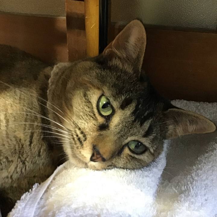 C3b121c3 bf57 49d4 811e 6a237ba6f6eb 1656411809049