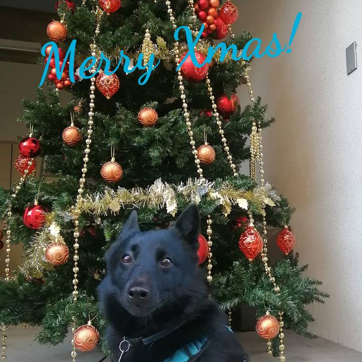 C3b126c7 62c3 4276 a5ab 883ac8906069 1671837197404