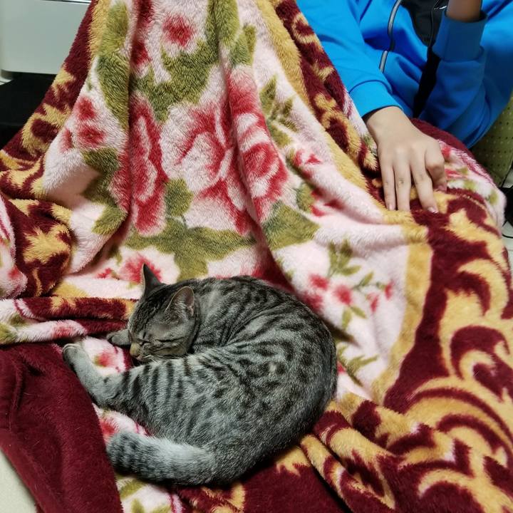 C3b13e95 9284 4d20 849a b5f50499234c 1675261684337