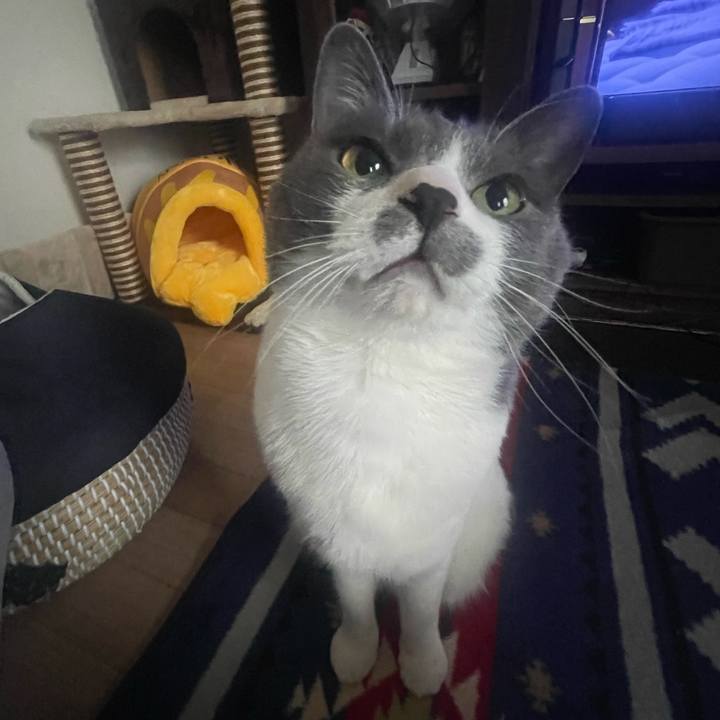 C3b162a0 24af 4abe b332 2ad7c1e04599 1679801751521