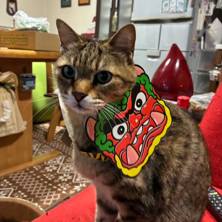 C3b16812 2e35 4a01 9fc0 ce1a14acae38 1770126095379