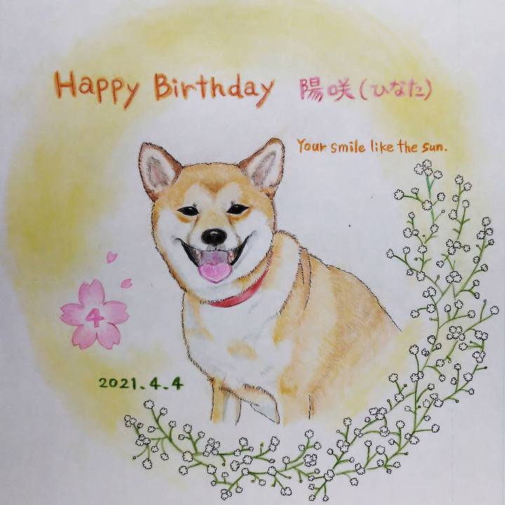 C3b1ad2d 636f 41bd ada5 6787bb8933ea 1617489976220