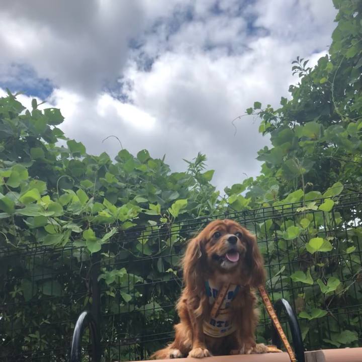 C3b1b21d 2dcd 403a 9fc7 4c333cb53388 1629000434897