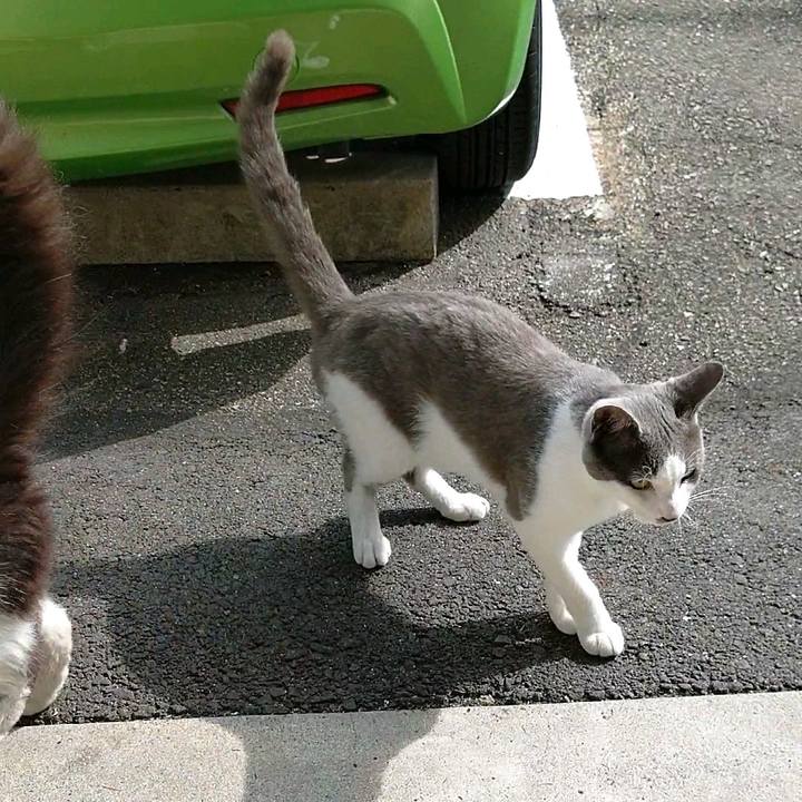 C3b1b541 a643 4202 b4ec d7d06f663b49 1593127907700