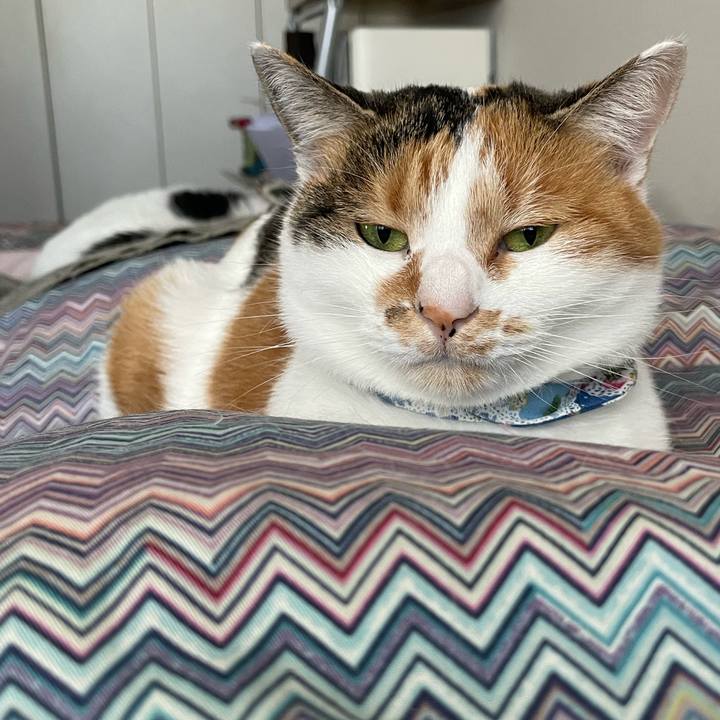 C3b1bb55 1b5f 4097 91f4 d4f66e54852e 1701646271272