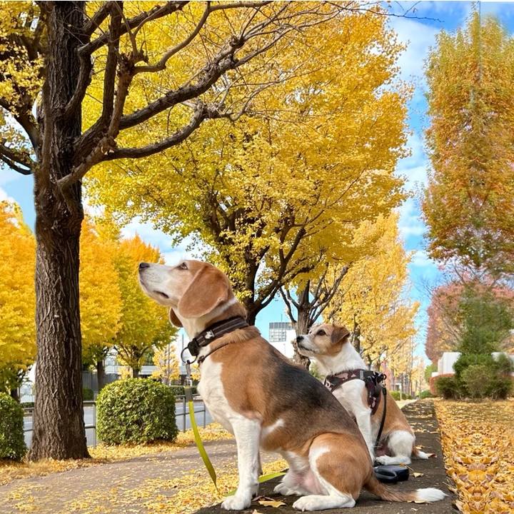 C3b1ccf8 e40f 41c7 8ae5 319efc81e912 1764763712343