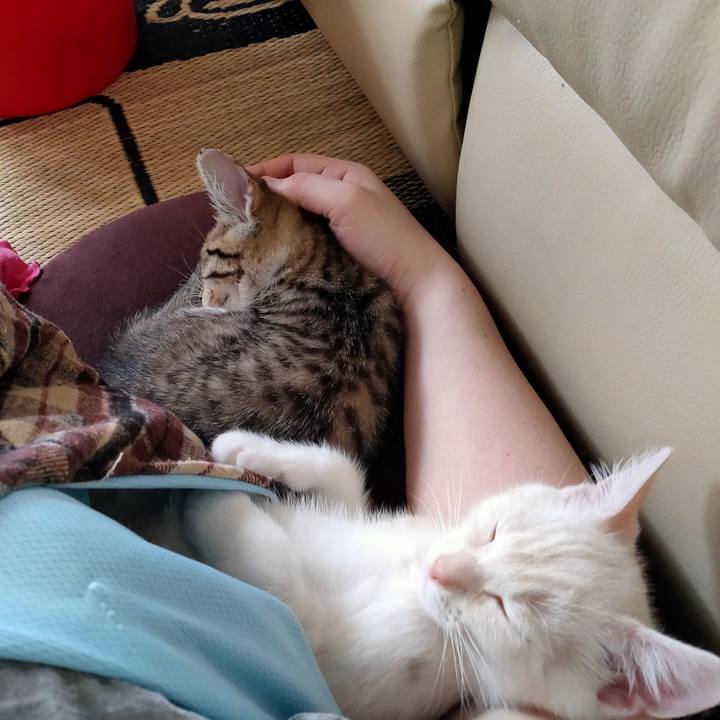 C3b1da25 f619 4975 aa64 e60ee25718fe 1625212584138