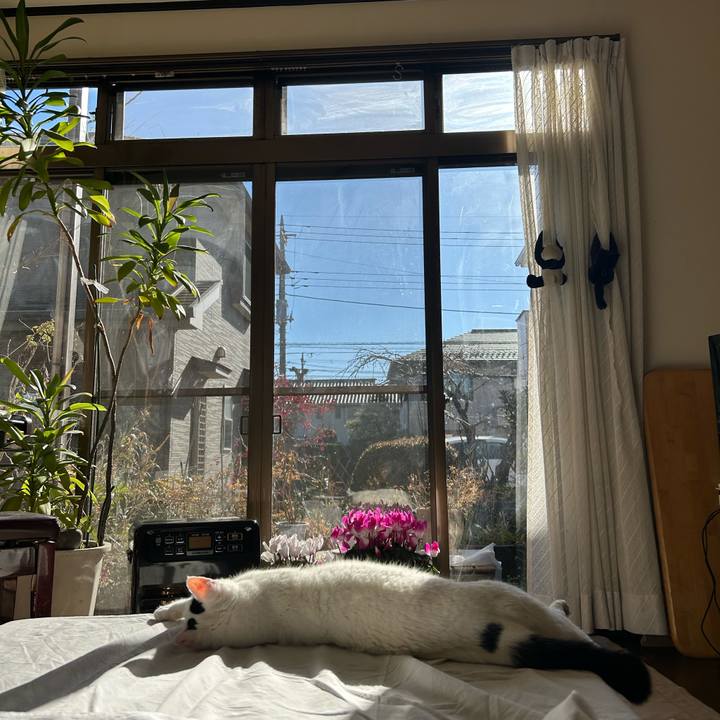 C3b1ddfb 76fe 4e6d a6db 3d813b276dc9 1735801281848