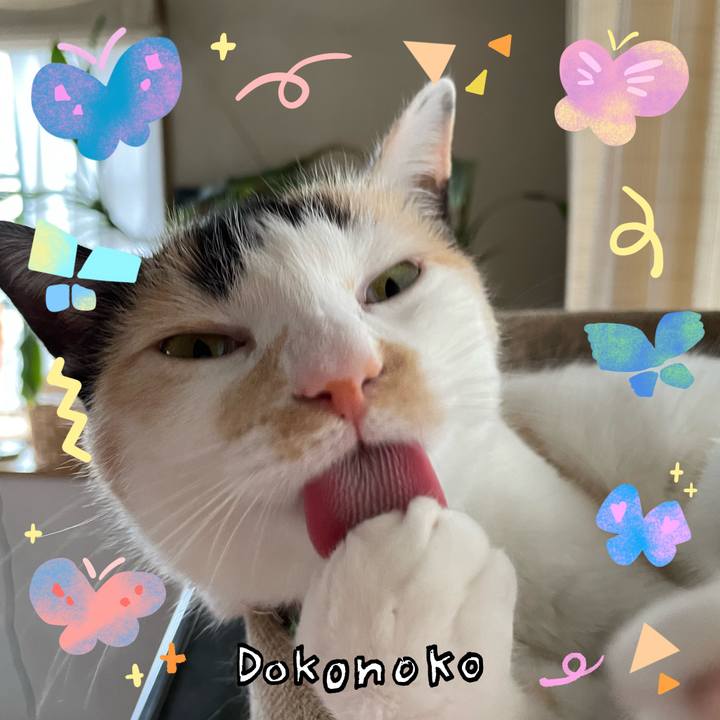 C3b20d55 118a 4ec6 8fbe 202ceea5e664 1711156430791