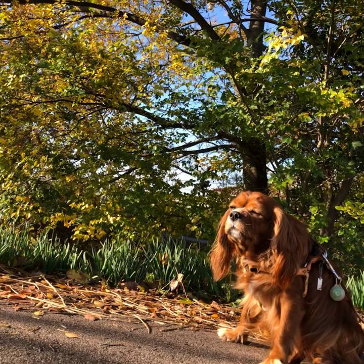 C3b2152e aa82 42d8 a39d fc5ca35f3d5f 1606522671876