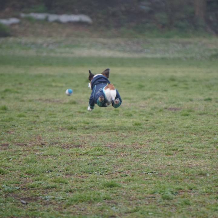 C3b25fee ca2f 431e ab24 4742f3fee88c 1555282136573