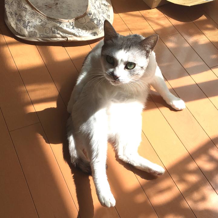 C3b28d40 2fe5 4a56 80d6 ebb9609f6469 1521685252145